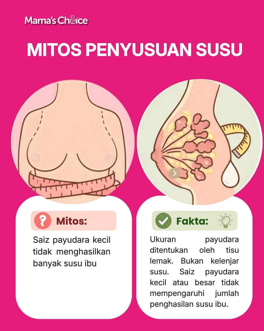 Mitos Penyusuan Susu